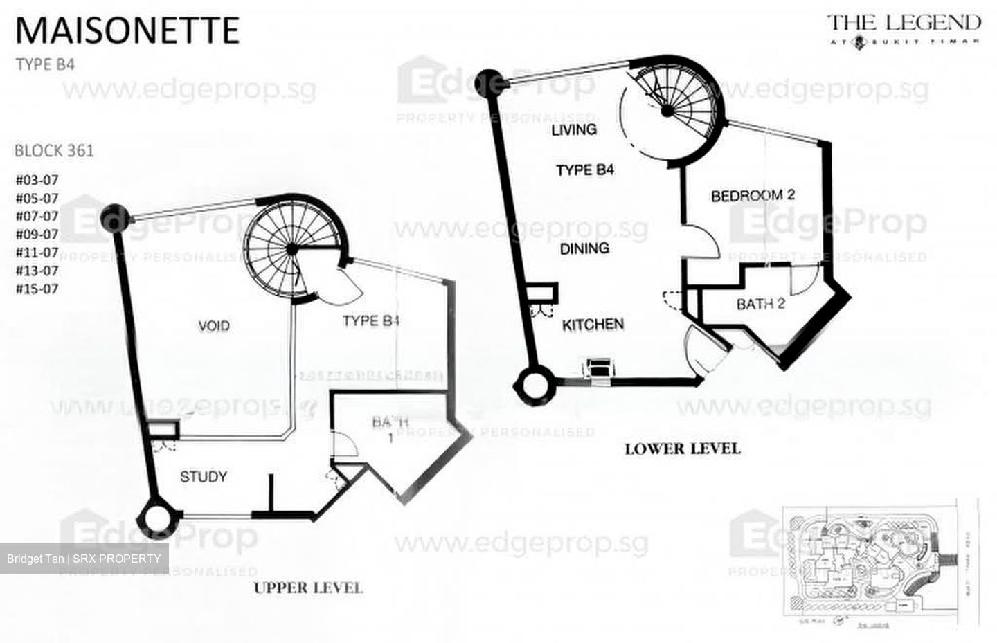 The Legend (D10), Condominium #578774061